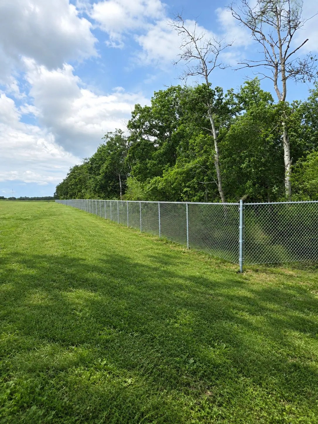 Galvanized chainlink fence along an acreage line
