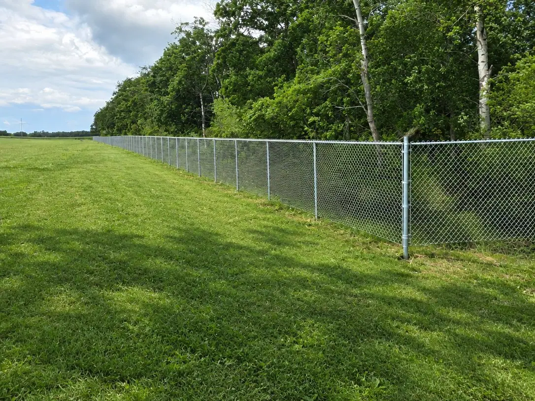 Galvanized chainlink fence running along a treeline