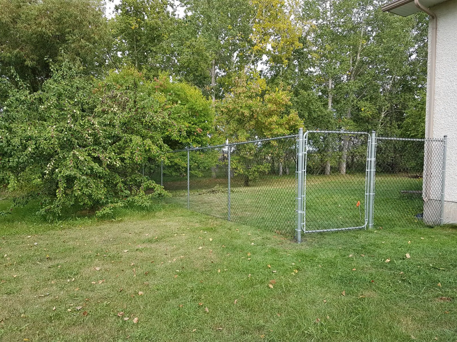 Galvanized chainlink fence with a walk gate